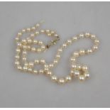 A single row of graduated cultured pearls of good lustre on white metal diamond set snap,