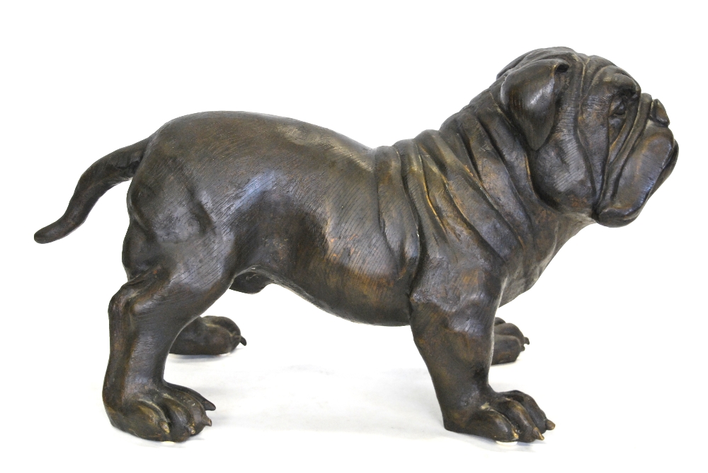 A modern brown patinated bronze life-size bulldog; unsigned, - Image 2 of 3
