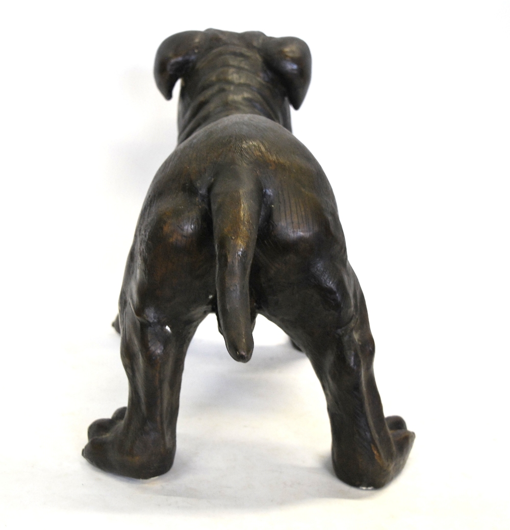 A modern brown patinated bronze life-size bulldog; unsigned, - Image 3 of 3