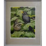 After John Tennent (b. 1926) - 'Blackbirds', ltd ed 26/100 linocut, pencil signed and dated 1974