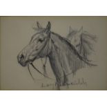 Lucy Kemp-Welch (1869-1958) - Study of horses' heads, pencil sketch, signed lower centre, 11.5 x