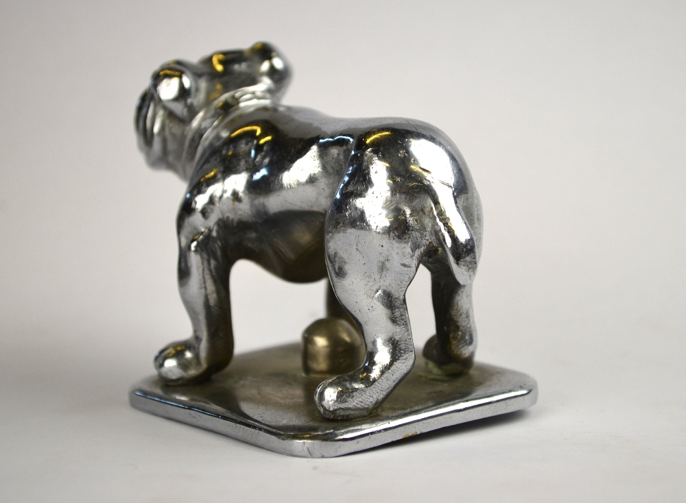 A chromium plated standing bulldog car mascot, - Image 3 of 5