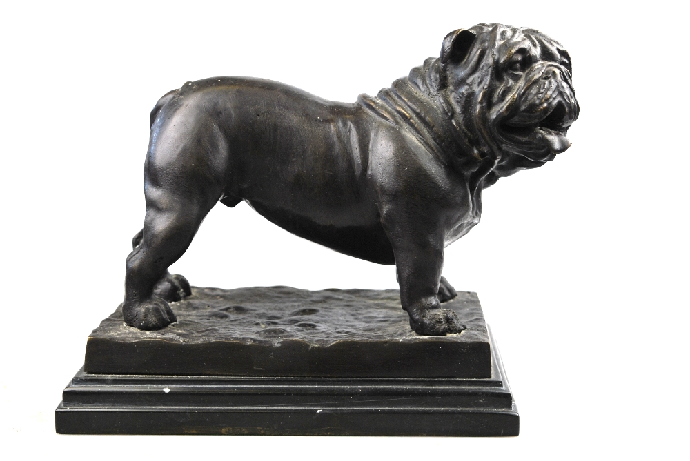 A modern brown patinated bronze bulldog, signed 'Mene', on marbled base,