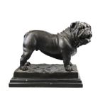 A modern brown patinated bronze bulldog, signed 'Mene', on marbled base,