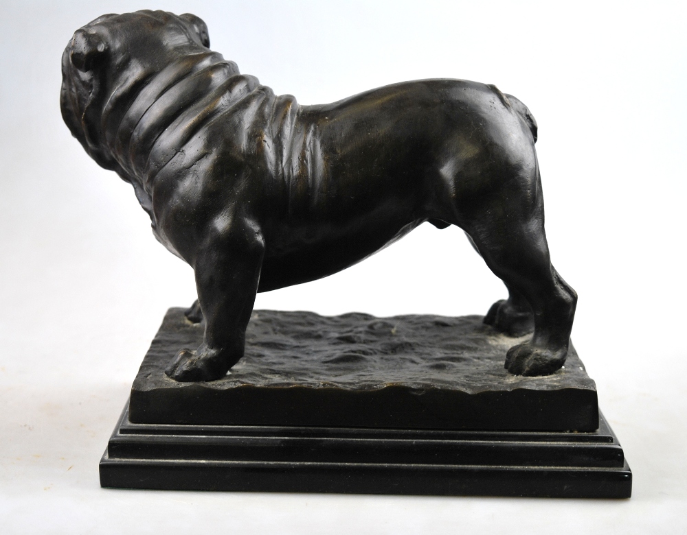 A modern brown patinated bronze bulldog, signed 'Mene', on marbled base, - Image 3 of 5