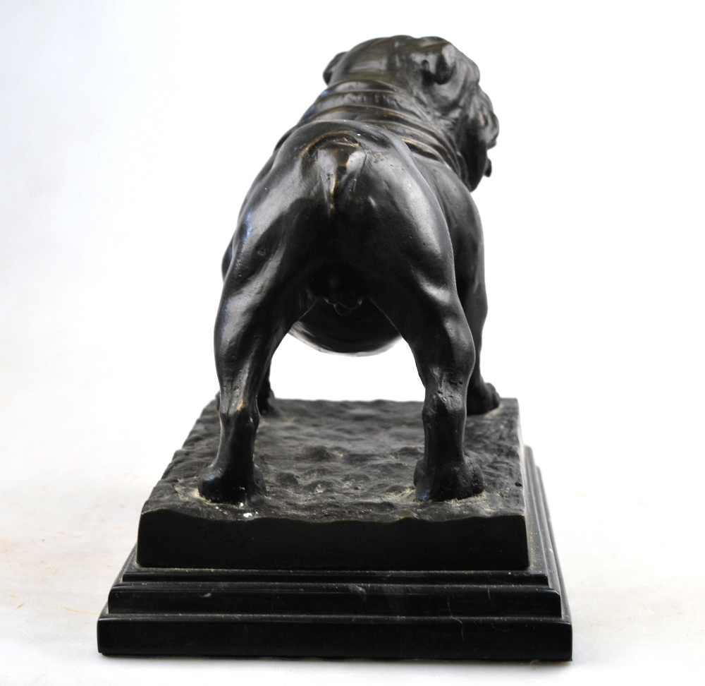 A modern brown patinated bronze bulldog, signed 'Mene', on marbled base, - Image 4 of 5