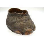 A young elephant's foot, hollowed-out as a container,