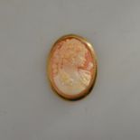 An oval shell cameo of Diana with pendant fitting attached,