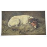 Florence Jay - A miniature study of a white and tan terrier, oil on board, 10 x 18 cm Condition