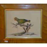 A set of four 19th century French hand-coloured engravings of birds (4)