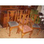 A set of Edwardian mahogany Chippendale style dining chairs. Four single, one carver.