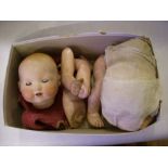 A.M. Germany bisque-headed doll (all loose)
