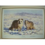 David Shepherd ‘Arctic Foxes’ limited edition print signed in pencil. (ARR)