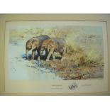 David Shepherd ‘African Babies’ limited edition print signed in pencil. (ARR)