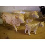 Beswick Charolais calf, cow (matt) and cow (gloss). (3)