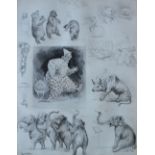 Louis Wain
Study of a clown, together with sketches of bears,