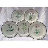 A set of five Swansea botanical plates each painted with single specimen flowers to a chocolate rim,
