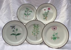 A set of five Swansea botanical plates each painted with single specimen flowers to a chocolate rim,