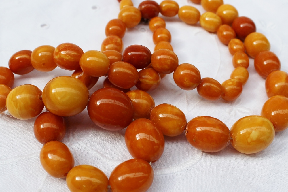A single row necklace of sixty graduated oval amber beads approximately 67 grams, largest bead - Image 2 of 4