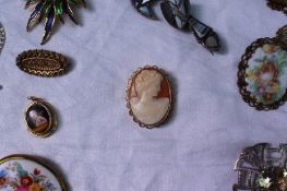 A 9ct yellow gold mounted shell cameo,