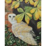 Jonathan Sainsbury
Barn Owl
Watercolour
45 x 35.