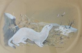 Robin Armstrong
Stoat in a landscape
Watercolour
Signed and dated '70
38 x 60cm