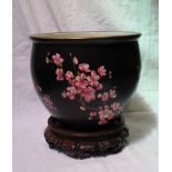 A Carlton ware jardiniere, decorated with prunus blossom to a black ground,