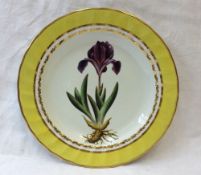 A  Derby botanical plate with a fluted border, painted with pattern 216, the named botanical