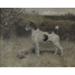 After Arthur Wardle
A terrier standing over a rabbit
A coloured print
29 x 37cm
Published by F