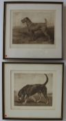 John Emms
A terrier
A print
Signed in pencil to the margin 
18 x 23.