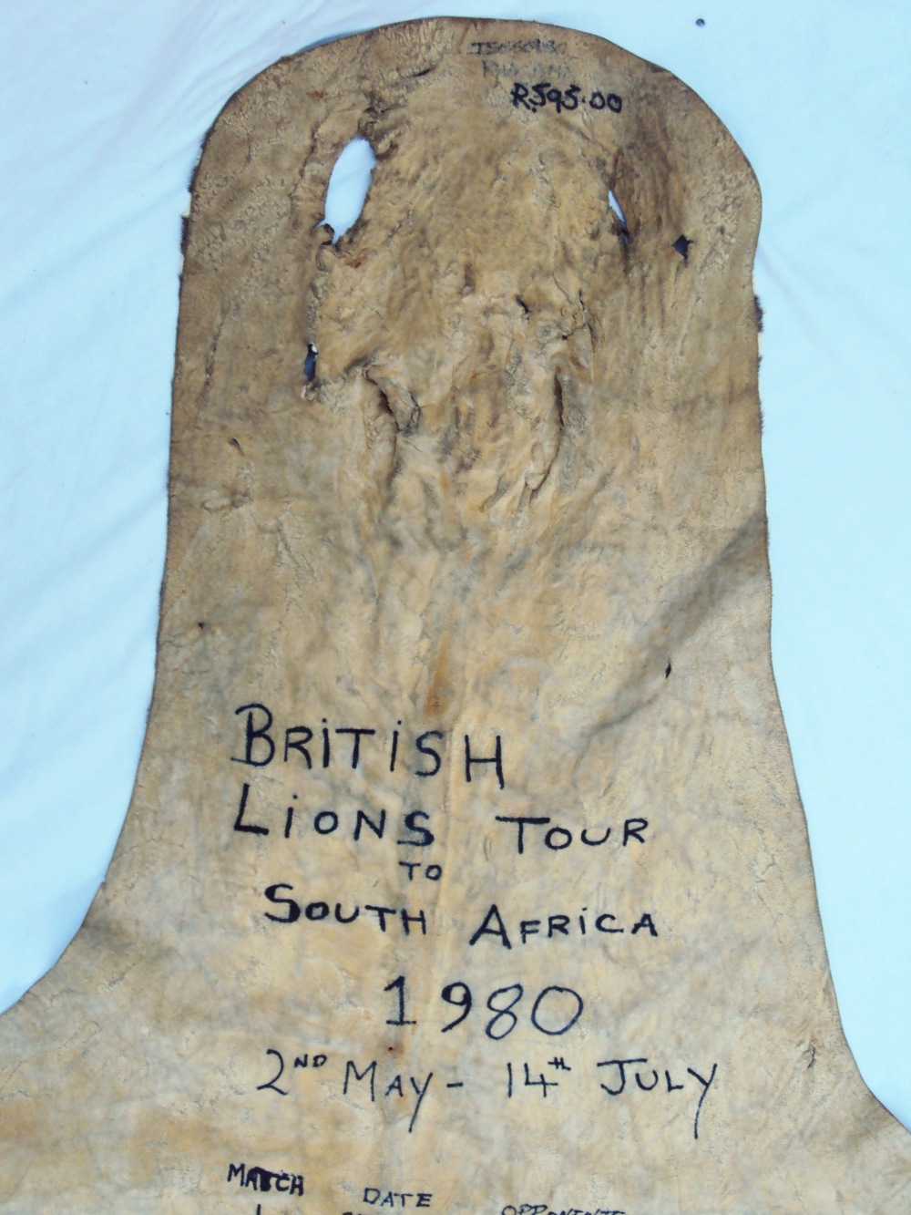 Allan Martin - A Zebra skin rug, the underside inscribed British Lions Tour to South Africa 1980, - Image 3 of 8
