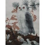 Coutu
A snowy owl
A limited edition print No.
