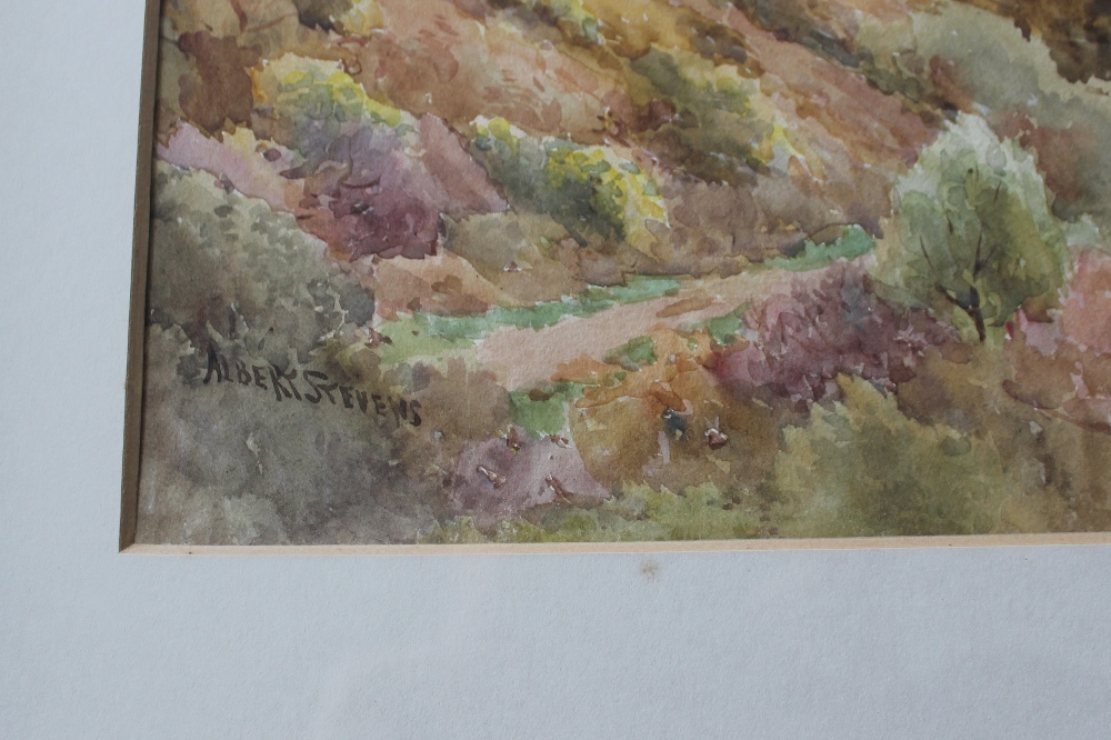 Albert Stevens
From the Wychpath Malvern looking towards Worcester 
Watercolour 
Signed and label - Image 3 of 4