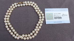 A pearl necklace set with eighty regular individually knotted pearls to a yellow metal clasp,