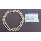 A pearl necklace set with eighty regular individually knotted pearls to a yellow metal clasp,