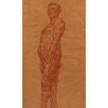 FRANCISCO GIMENO (Tortosa, 1858-Barcelona, 1927). "Desnudo masculino", dibujo a sanguina sobre