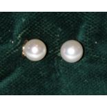 DORMILONAS de perlas cultivadas de 8-8.50 mm. Montura en oro amarillo con cierre de presión.