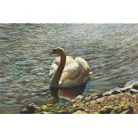 Lorene Kohut (American, b. 1929) Swan. Oil on canvasboard, signed at the lower left corner, not