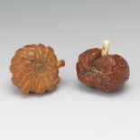 Two Carved Netsuke nullCarved horn netsuke of a chrysanthemum, signed on bottom, 1-7/8"; nut netsuke