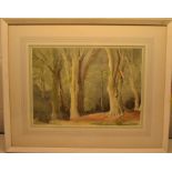 Mildred A Butler - Tree Study Watercolour -