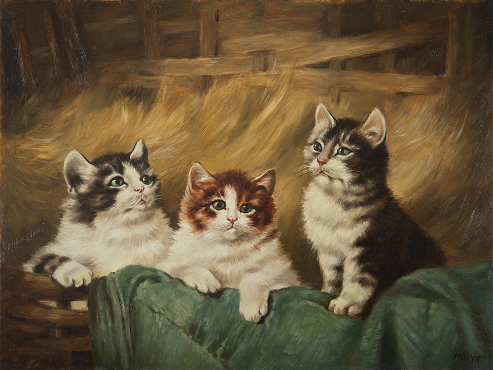 Oil Painting “Three Kittens in Straw”, Mayer, Germany, 20th C.  Oil on copper plate Germany, 20th