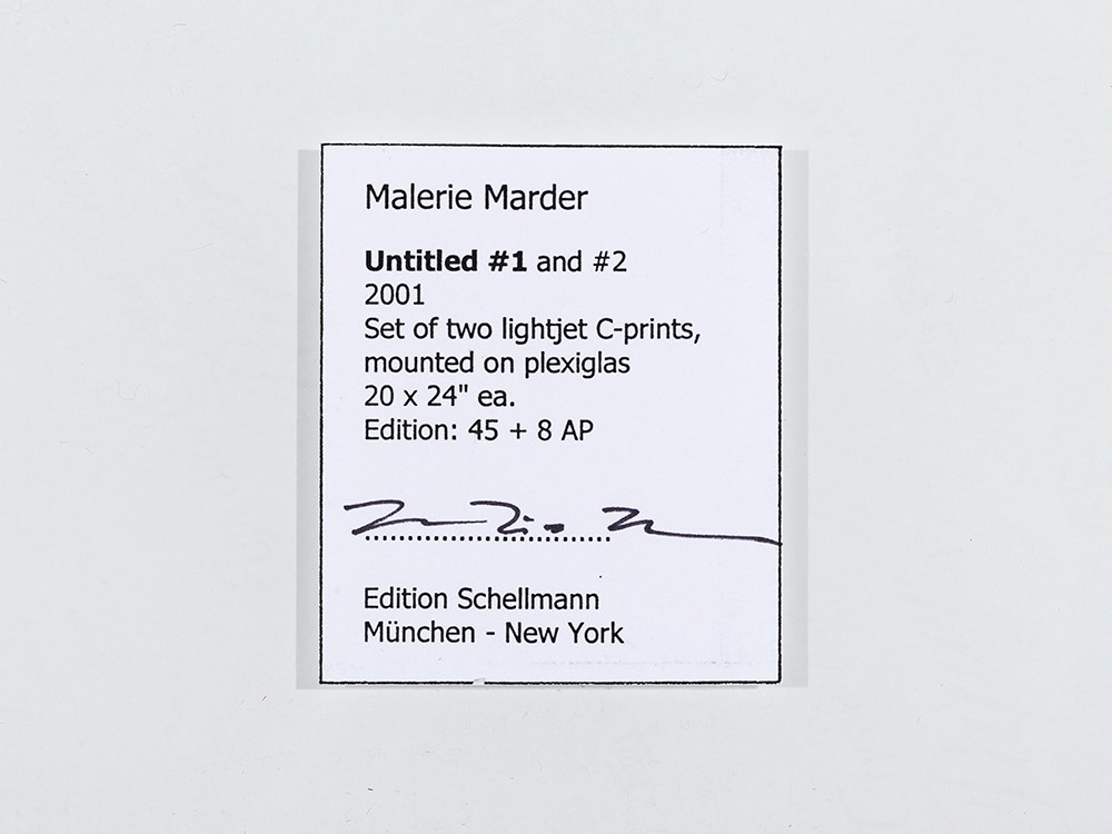 Malerie Marder, Untitled #1 & #2, 2 LightJet Prints, 2001  2 LightJet prints in colors, laminated on - Image 13 of 15