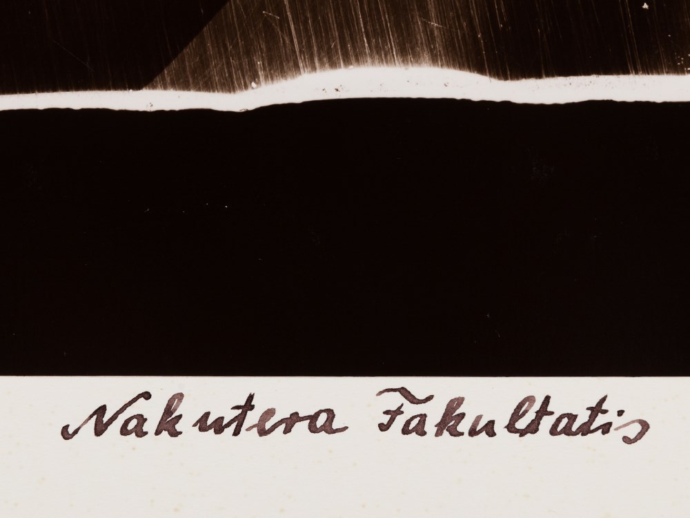 Ulrich Tillmann, NAKUTERA FAKULTATES – BALARA UMETA, 1998  2 C prints, mounted on original cardboard - Image 10 of 16