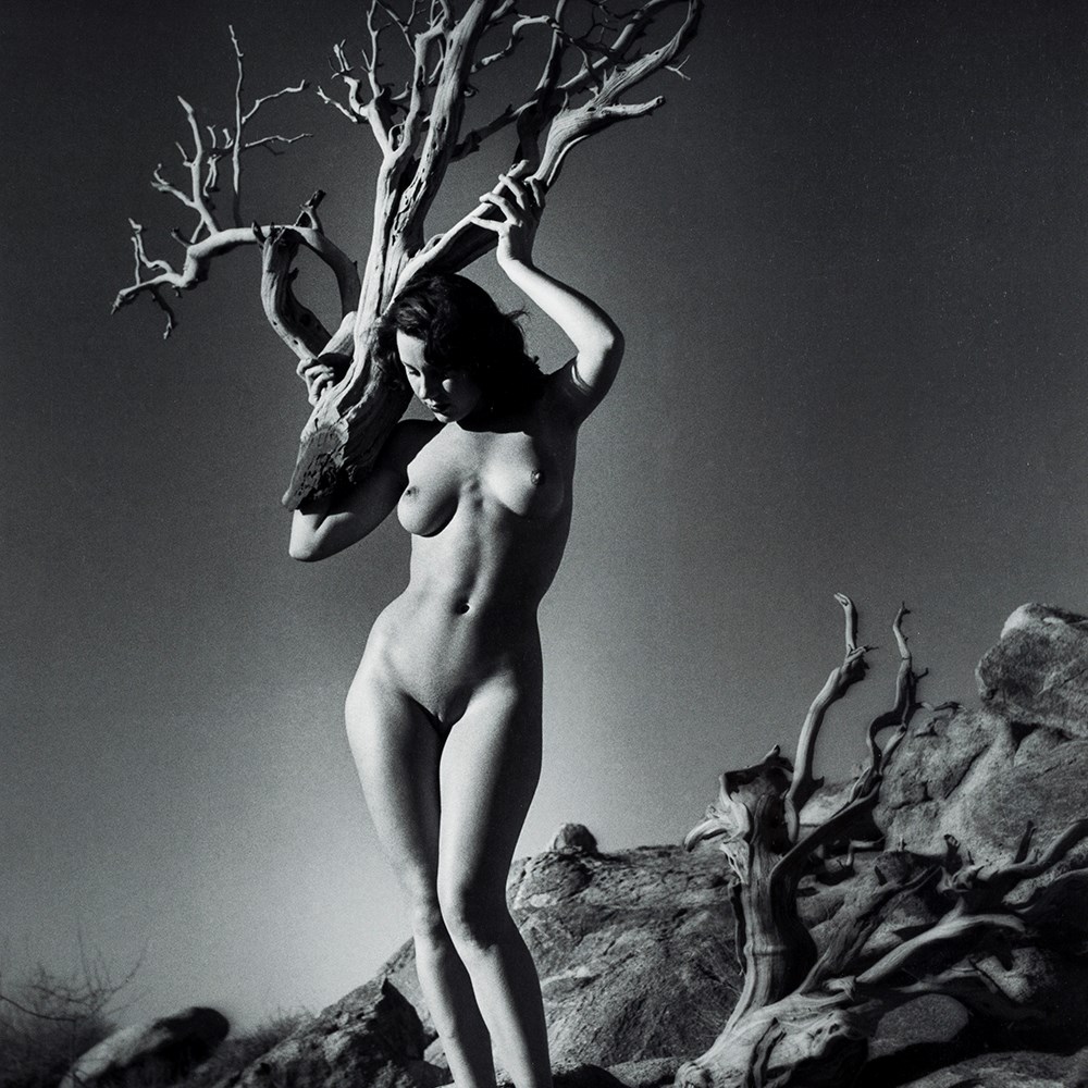 André de Dienes (1913-1985), Female Nude, Giclée, c. 1950/2006  Giclée print after a photograph on - Image 9 of 9