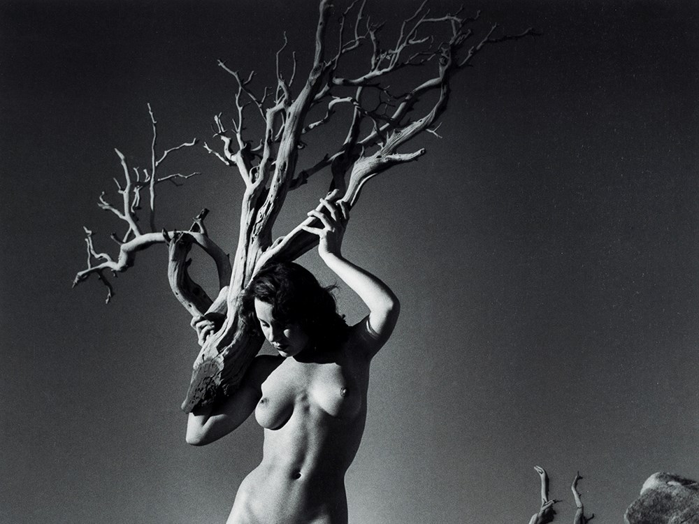 André de Dienes (1913-1985), Female Nude, Giclée, c. 1950/2006  Giclée print after a photograph on - Image 3 of 9