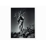 André de Dienes (1913-1985), Female Nude, Giclée, c. 1950/2006  Giclée print after a photograph on