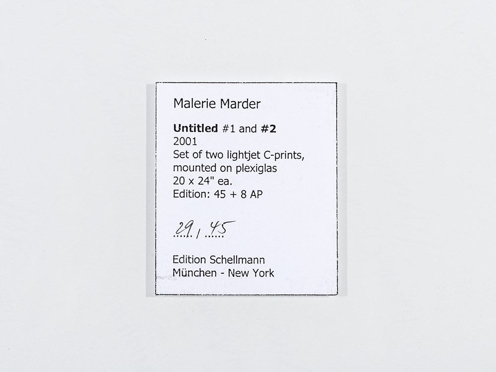 Malerie Marder, Untitled #1 & #2, 2 LightJet Prints, 2001  2 LightJet prints in colors, laminated on - Image 7 of 15