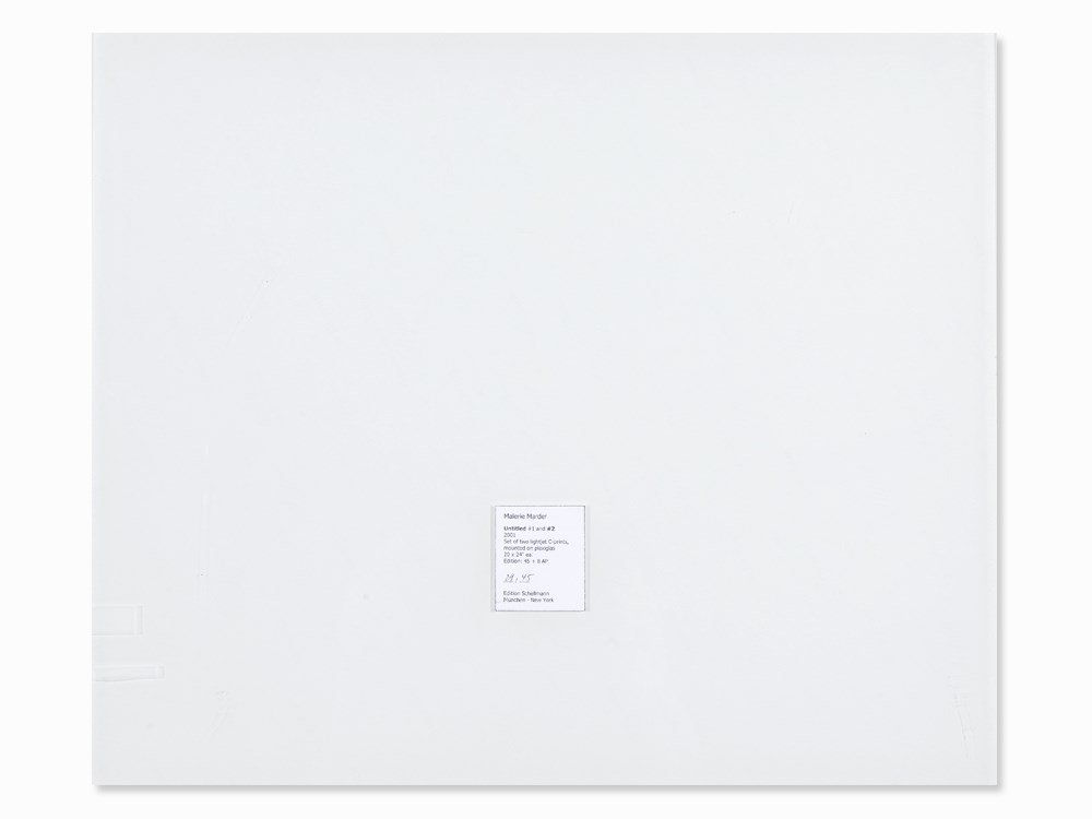 Malerie Marder, Untitled #1 & #2, 2 LightJet Prints, 2001  2 LightJet prints in colors, laminated on - Image 6 of 15