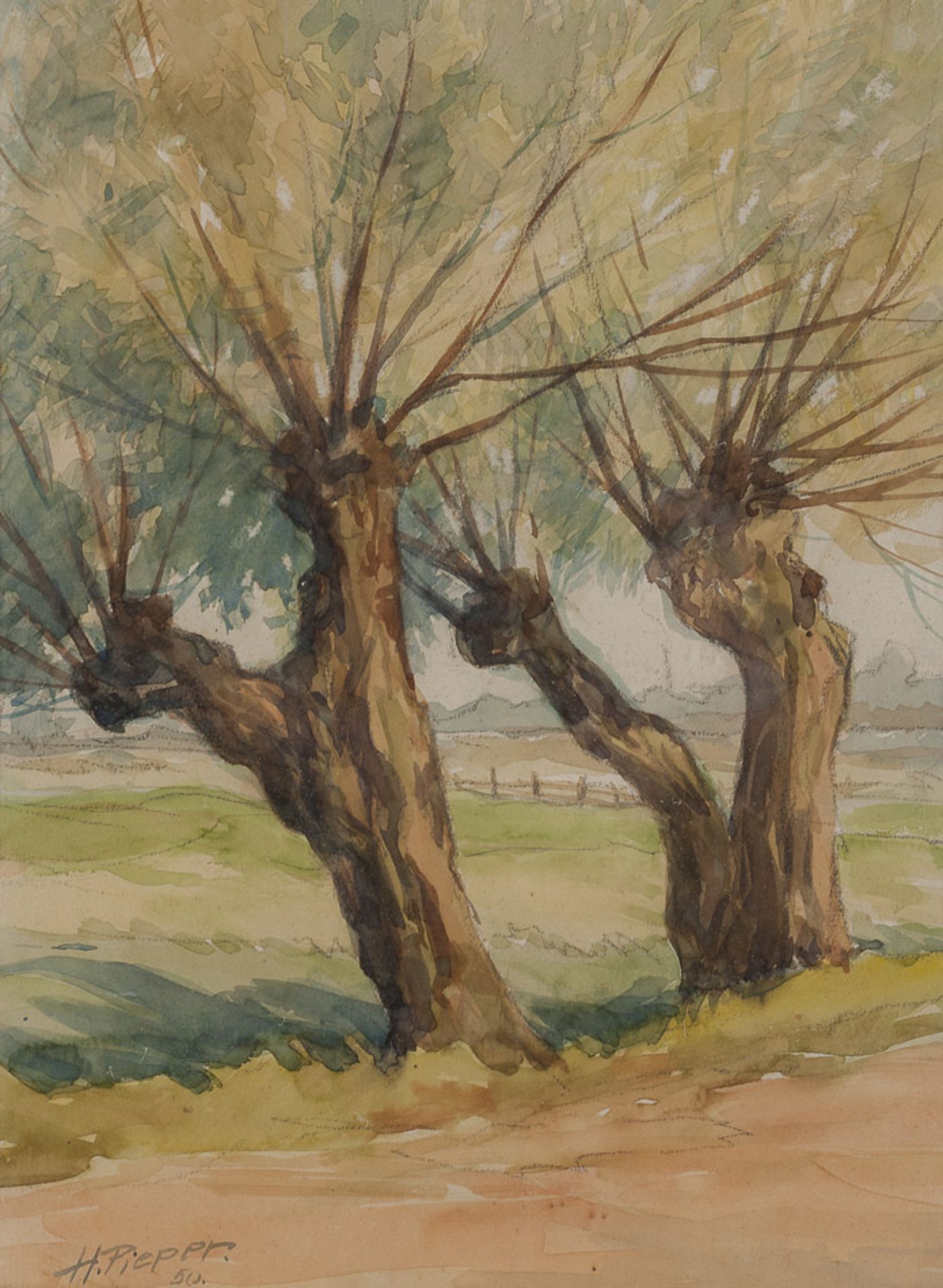 H.Pieper 20. Jhd."Weiden"
Zeichnung-Aquarell, Sichtmaß 30 cm x 22 cm,
rechts unten signiert, datiert