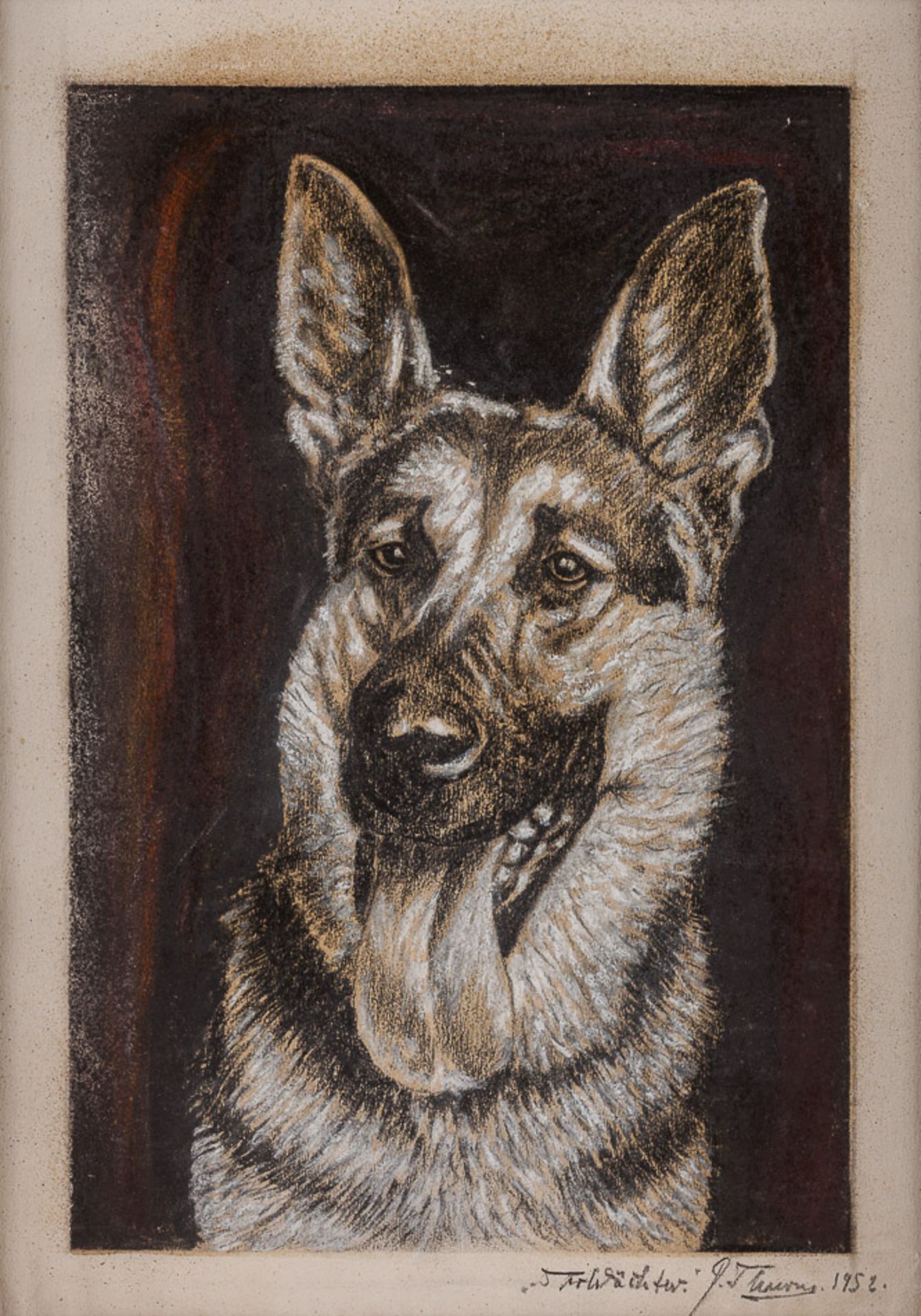P.Thurns 20. Jhd."Schäferhund"
Aquarell-Zeichnung, Mischtechnik-weissgehöht, 
36 cm x 26 cm,